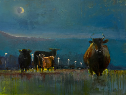 Midnight Cows
